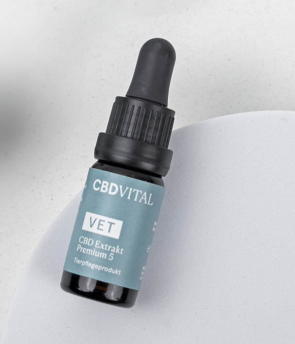 Kaltgepresstes BIO Hanfsamenöl mit CBD Kaltgepresstes BIO Hanfsamenöl mit CBD