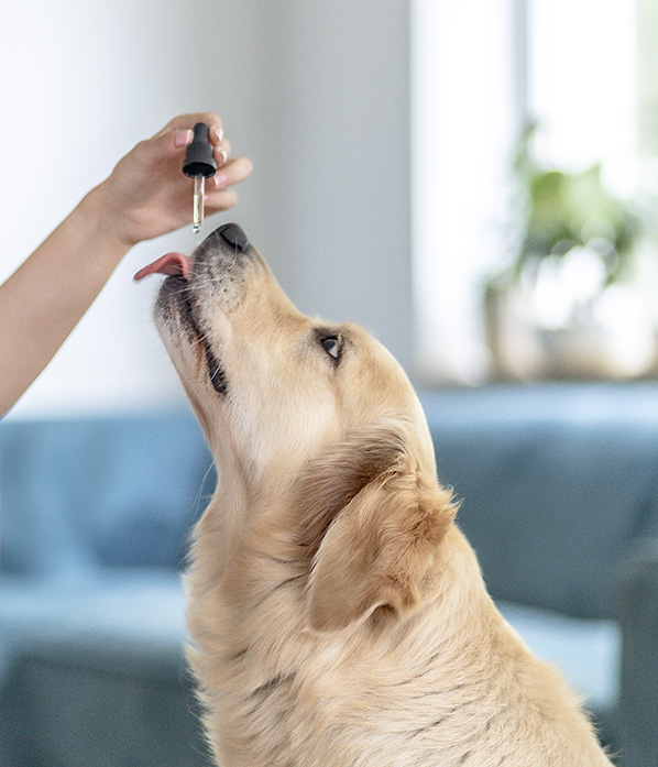 Zur Unterstütung des Wohlbefindes Ihres Hundes Zur Unterstütung des Wohlbefindes Ihres Hundes