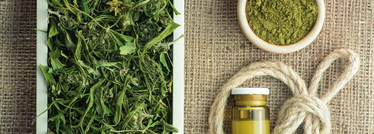 Die populärsten CBD Produkte