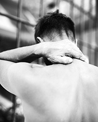 Starke Abwehrkräfte Starke Abwehrkräfte