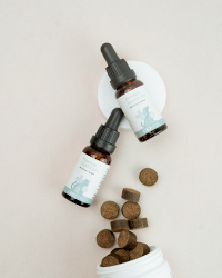 CBD für Tiere CBD für Tiere