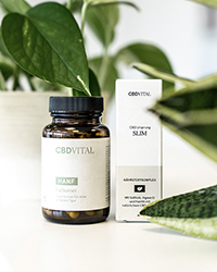 Gesund abnehmen mit der richtigen Unterstützung Gesund abnehmen mit der richtigen Unterstützung