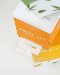 CBD VITAL Tee als trendiges Heißgetränk CBD VITAL Tee als trendiges Heißgetränk